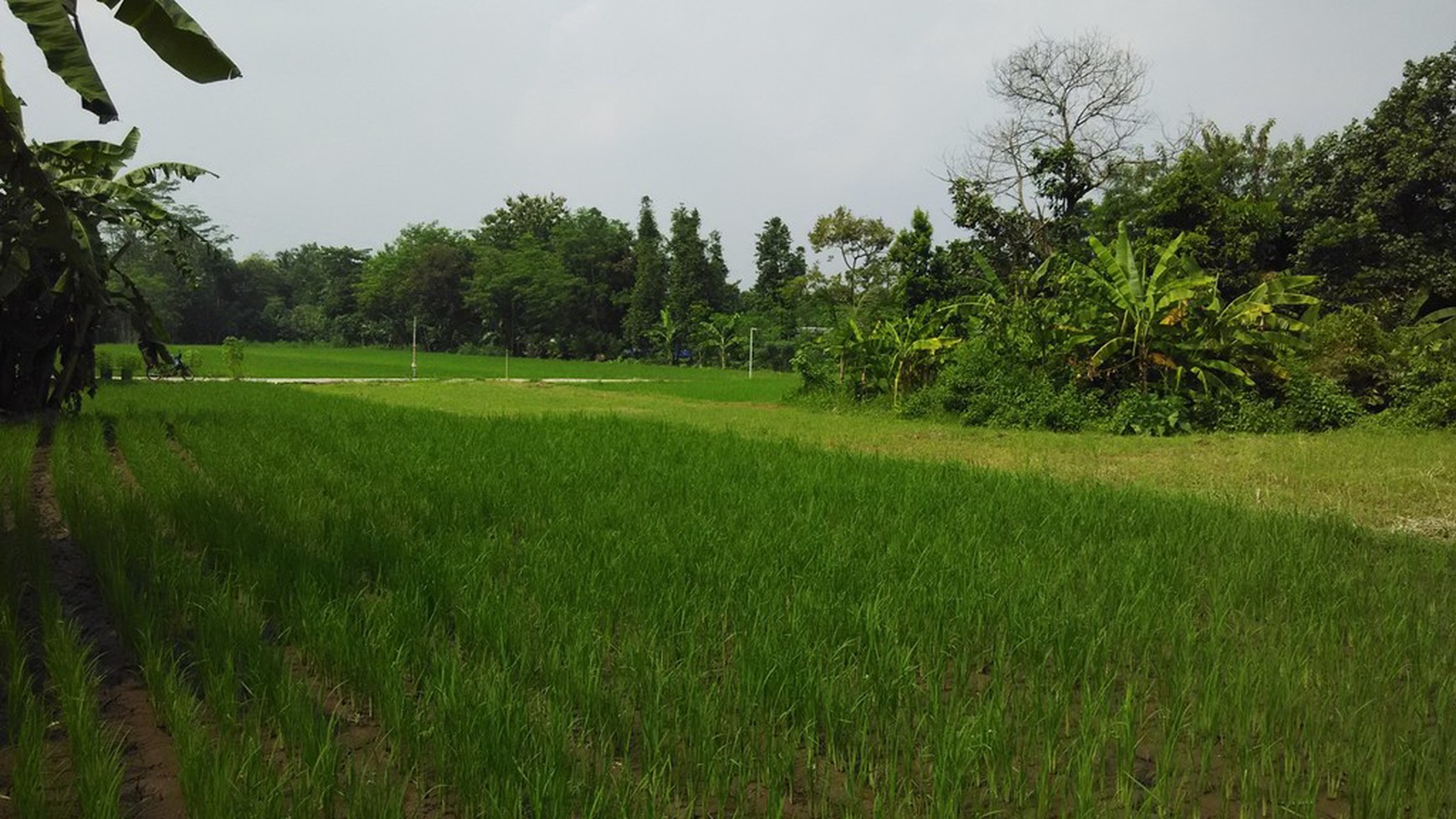 TANAH PINGGIR JALAN TURI, SLEMAN, YOGYAKARTA