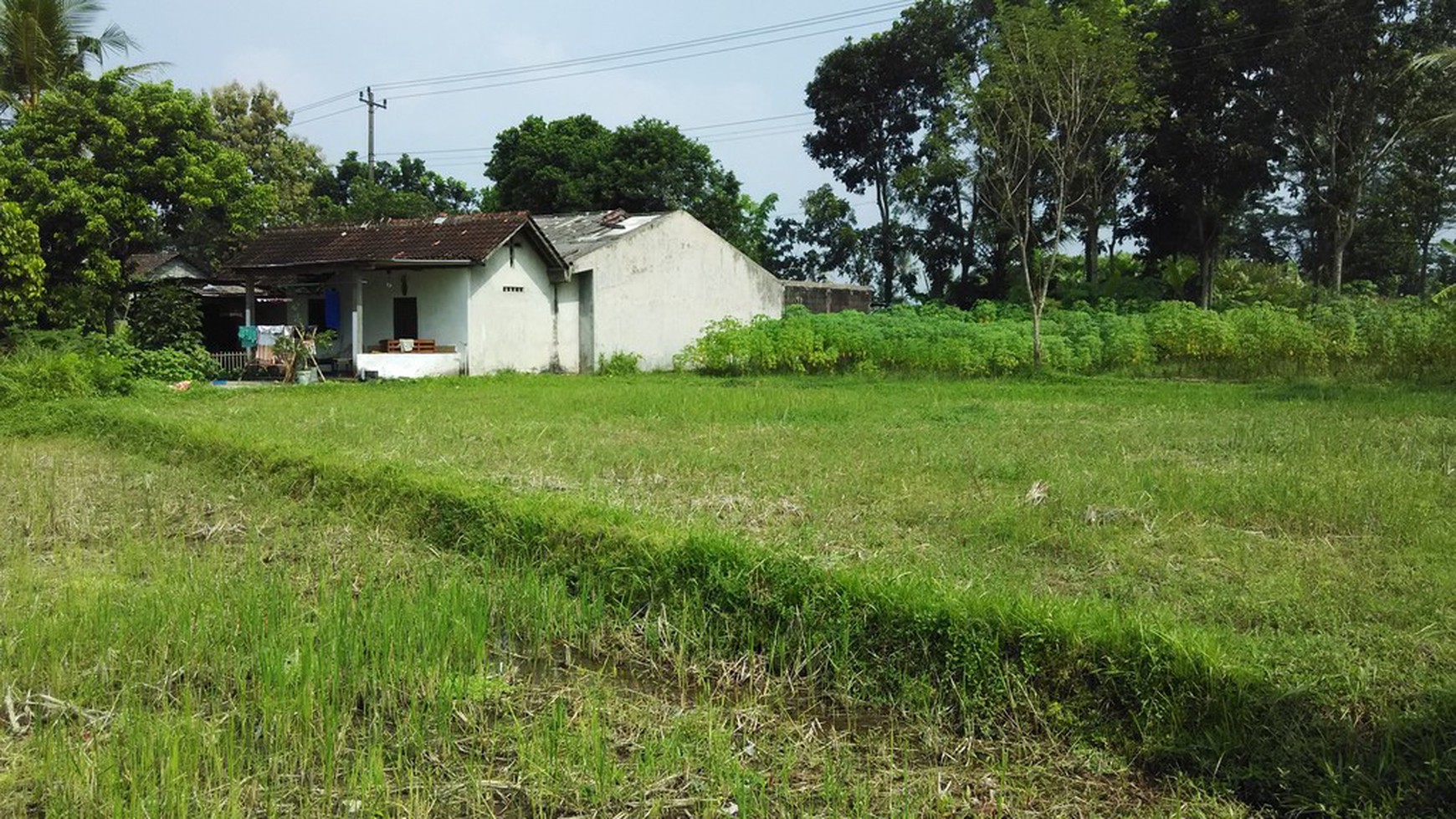 TANAH PINGGIR JALAN TURI, SLEMAN, YOGYAKARTA