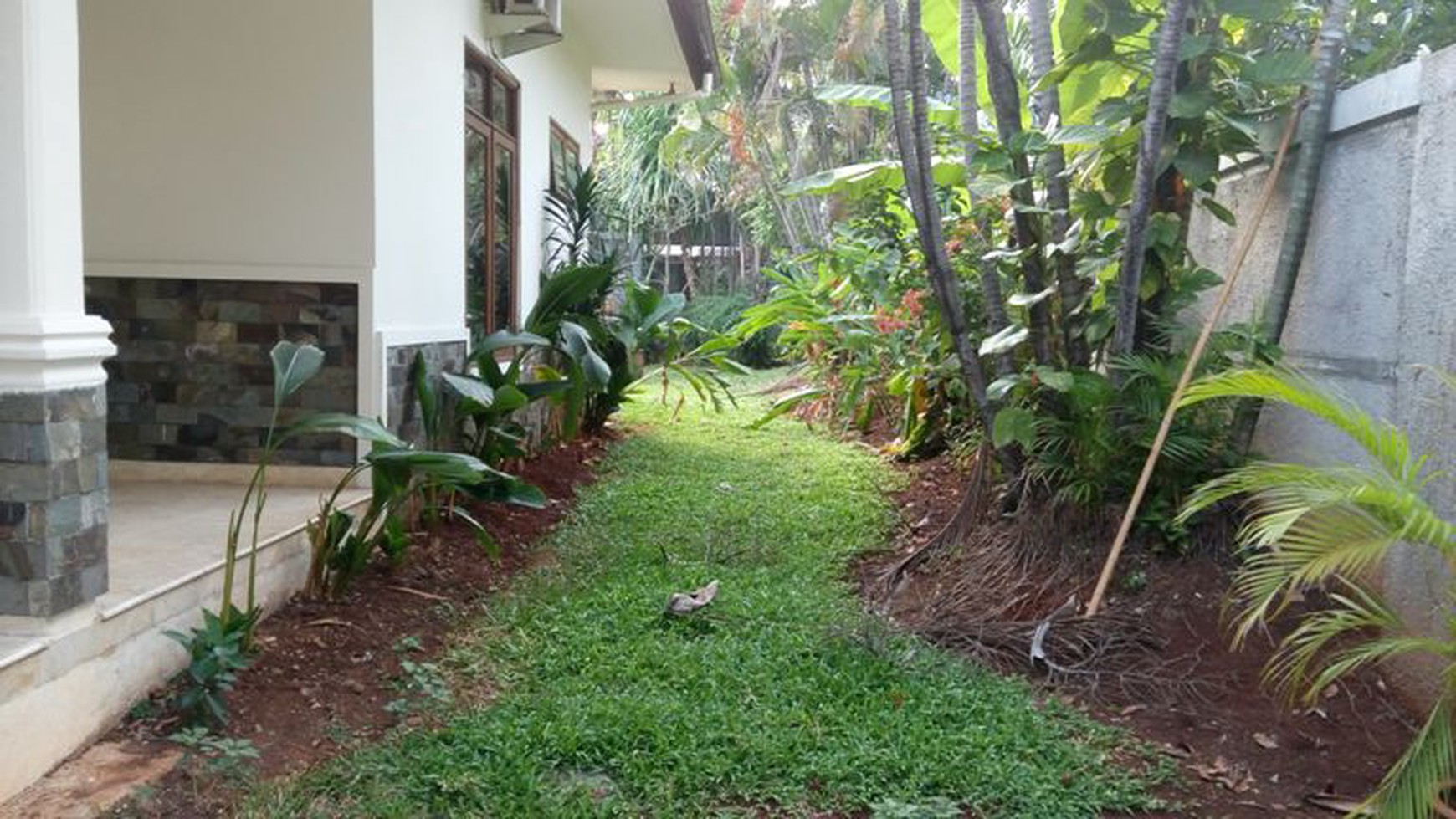 Nice House with Great Backyard in Kemang