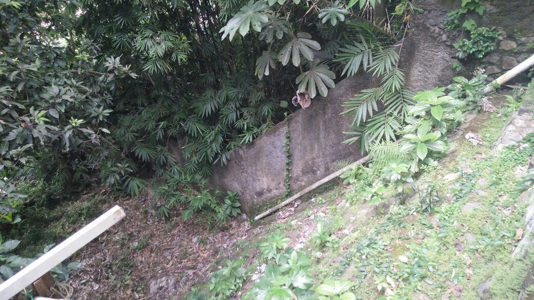 Rumah Tua Poltangan Raya, Pasar Minggu