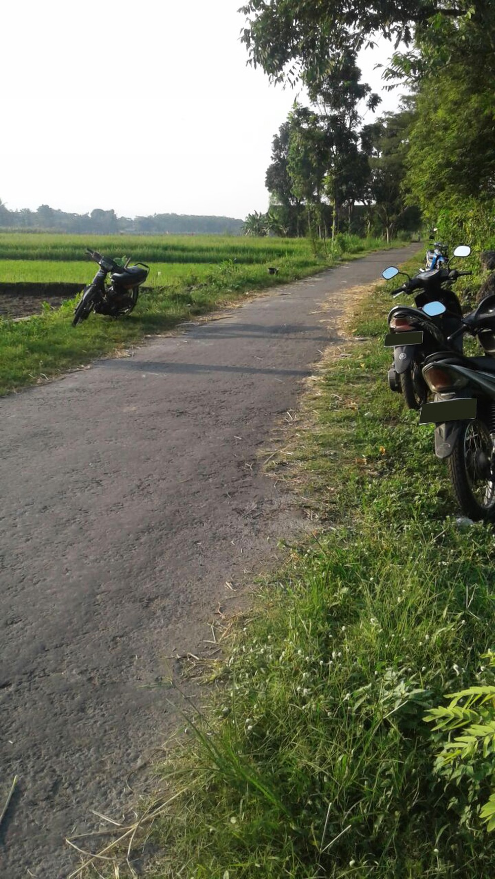 TANAH DIJUAL DIKEMUDO, DOMPYONG, KLATEN