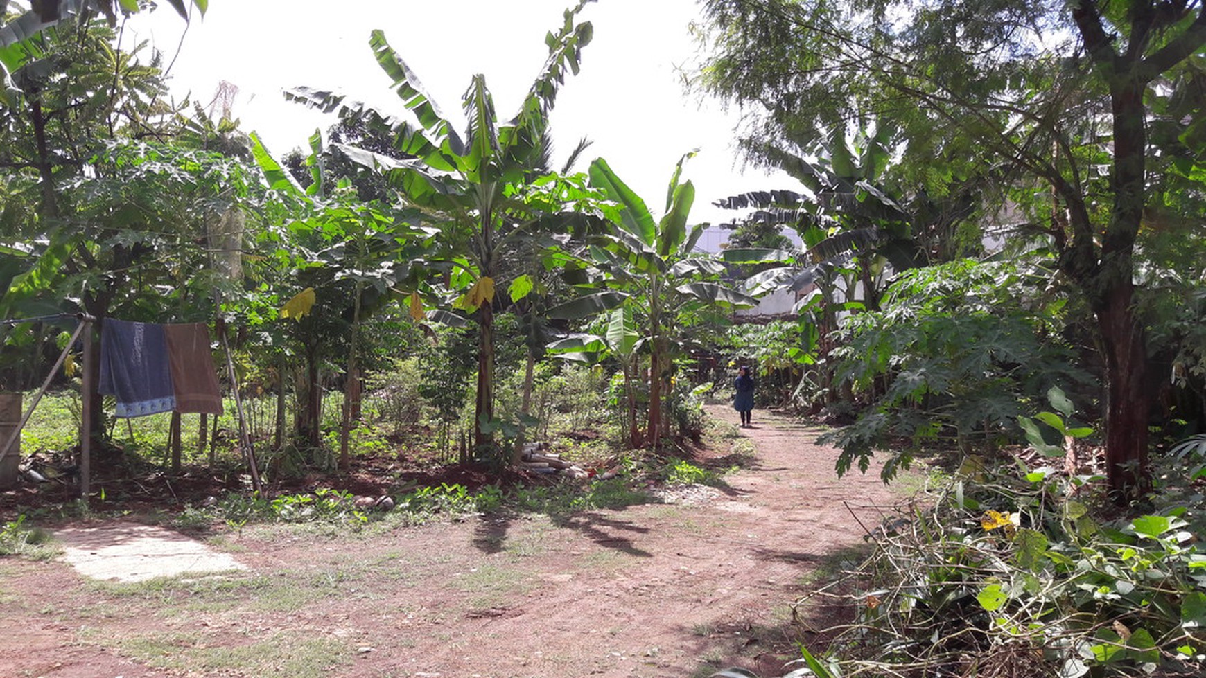 Tanah @  KENANGA Ampera