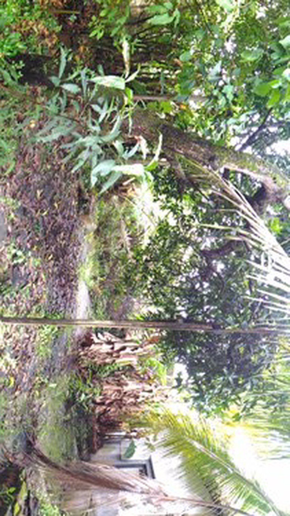 Rumah Tua hitung tanah 969m, Lokasi Strategis 5.5M nego