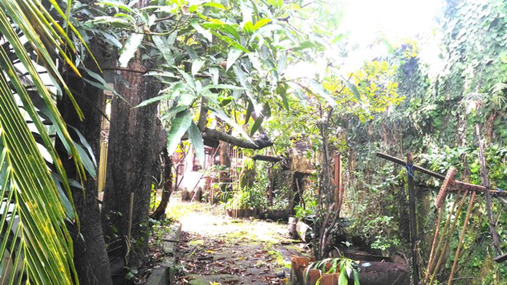 Rumah Tua hitung tanah 969m, Lokasi Strategis 5.5M nego