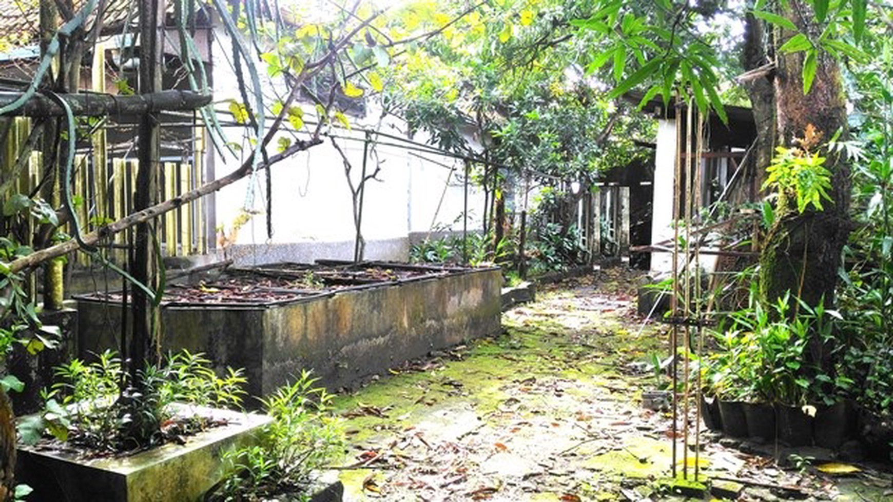 Rumah Tua hitung tanah 969m, Lokasi Strategis 5.5M nego