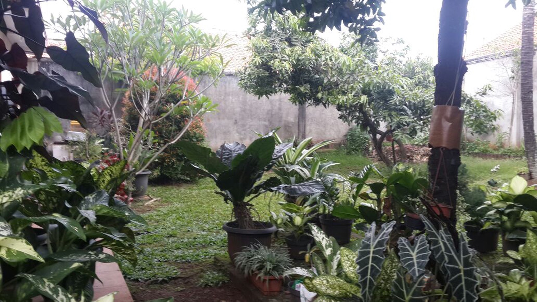 Rumah Siap Huni Di Pondok Ranji