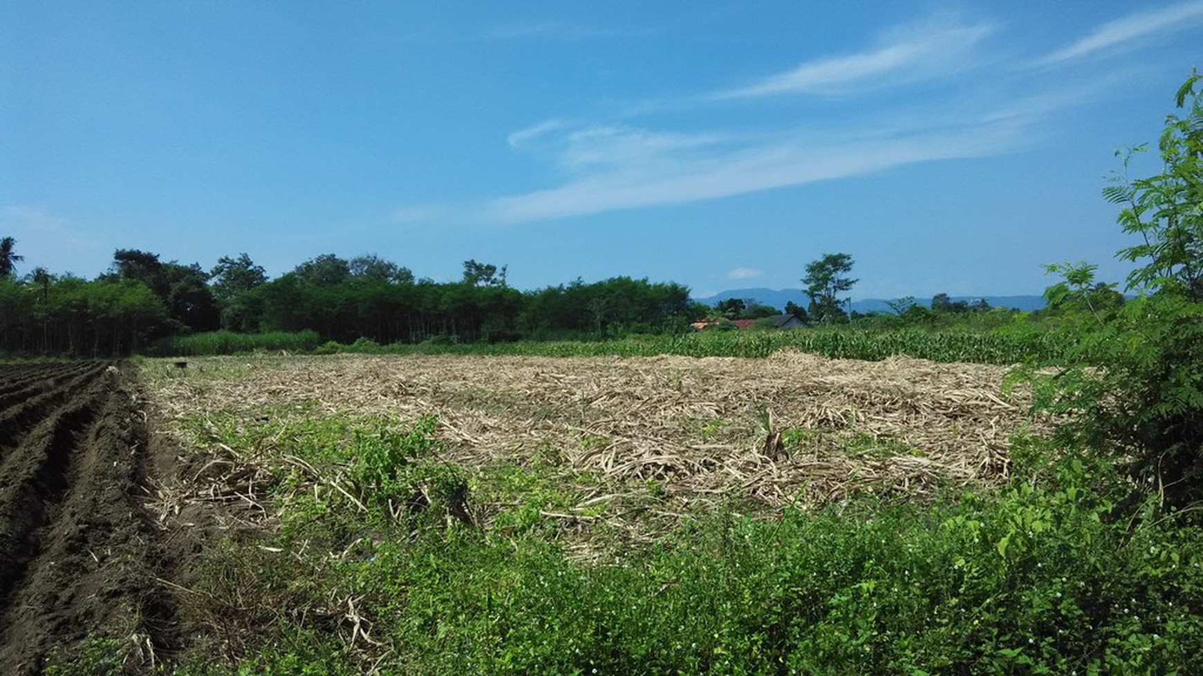 TANAH DIJUAL DI TUNDAN, PURWOMARTANI, KALASAN, SLEMAN
