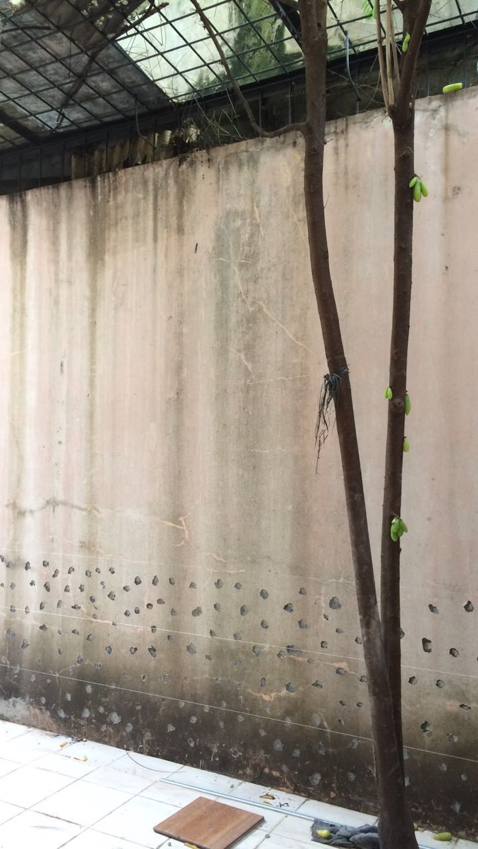 Disewakan Ruko Gajah Mada 3.5 Lantai - Lippo Karawaci