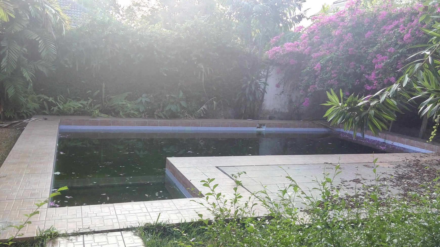 Big House..big Pool...spacious garden ..big Opportunity....quiet Area...