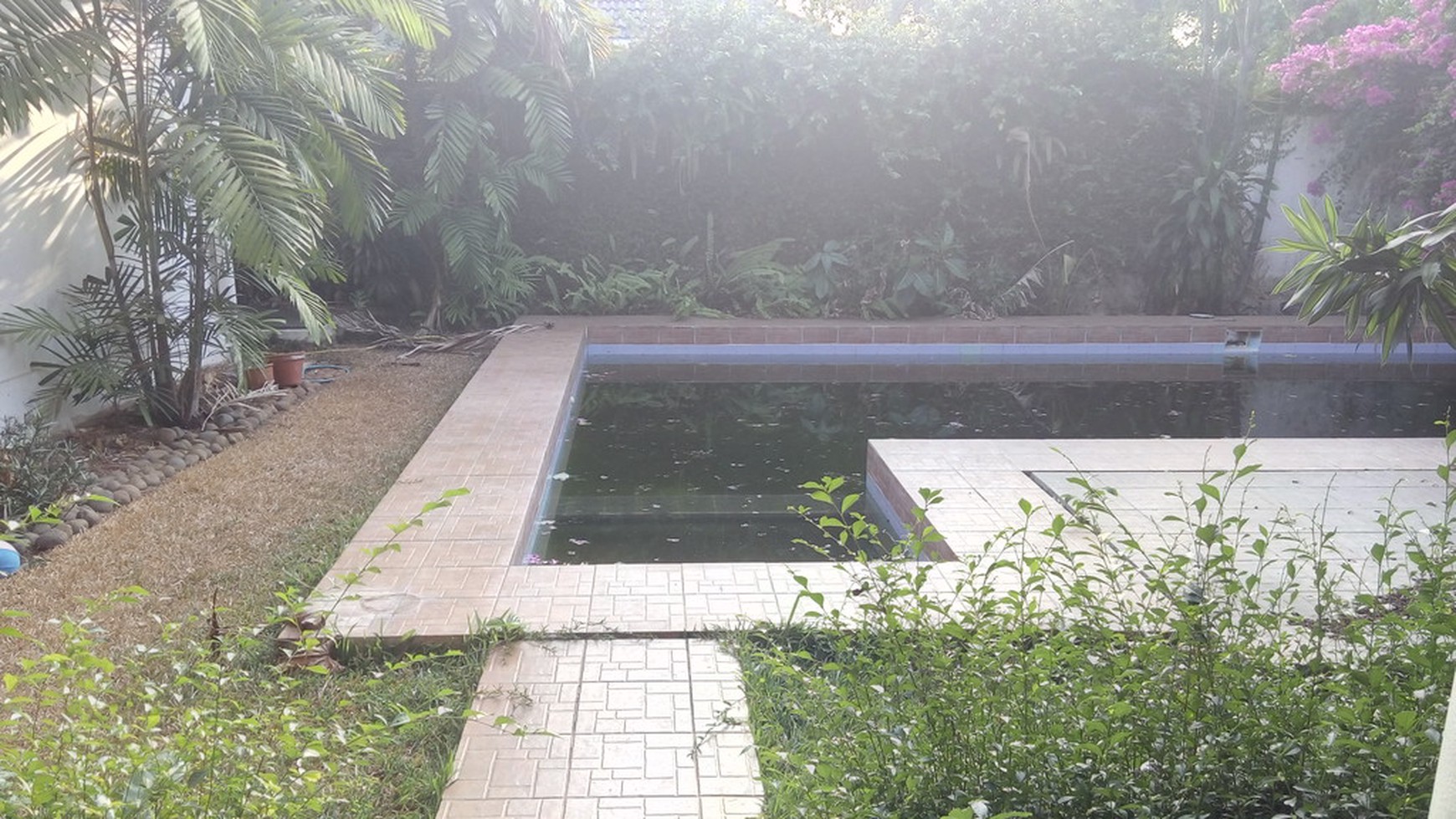 Big House..big Pool...spacious garden ..big Opportunity....quiet Area...