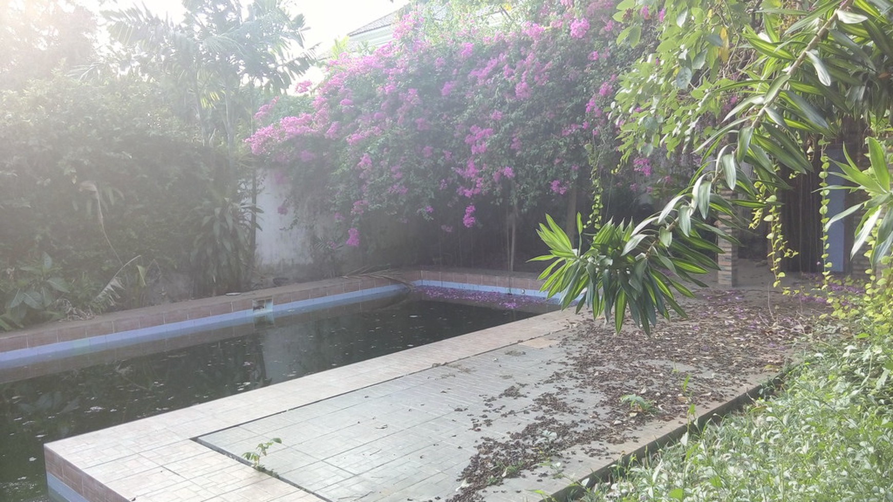 Big House..big Pool...spacious garden ..big Opportunity....quiet Area...