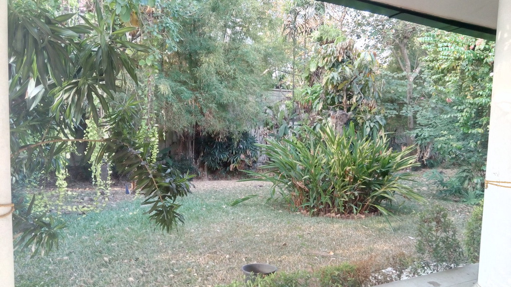 Big House..big Pool...spacious garden ..big Opportunity....quiet Area...