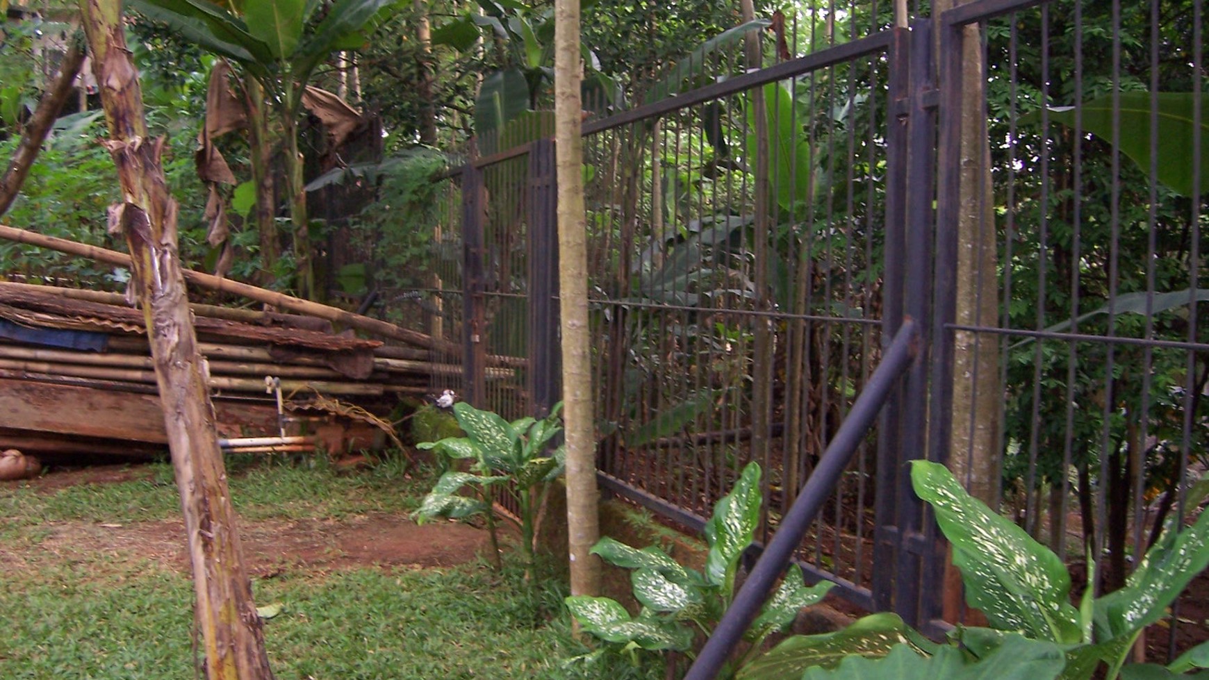 Rumah Villa yang asri di Limo