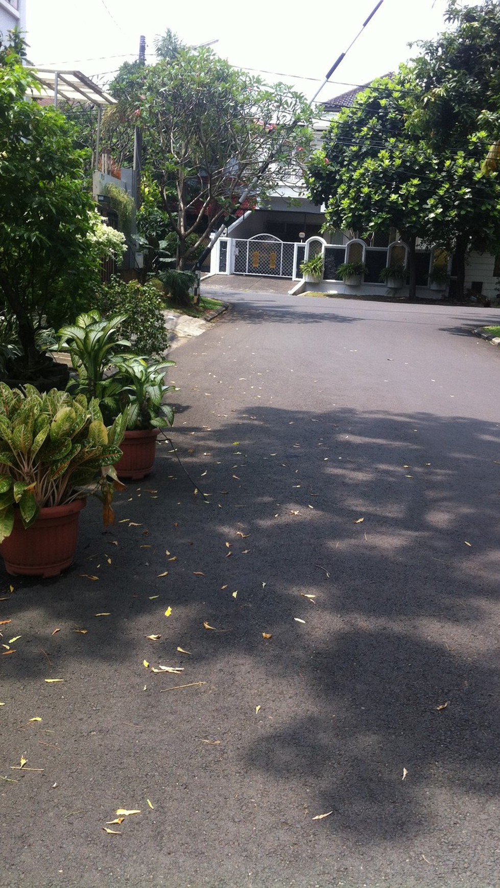 Di Jual Rumah Cantik dan Asri di Pondok Indah