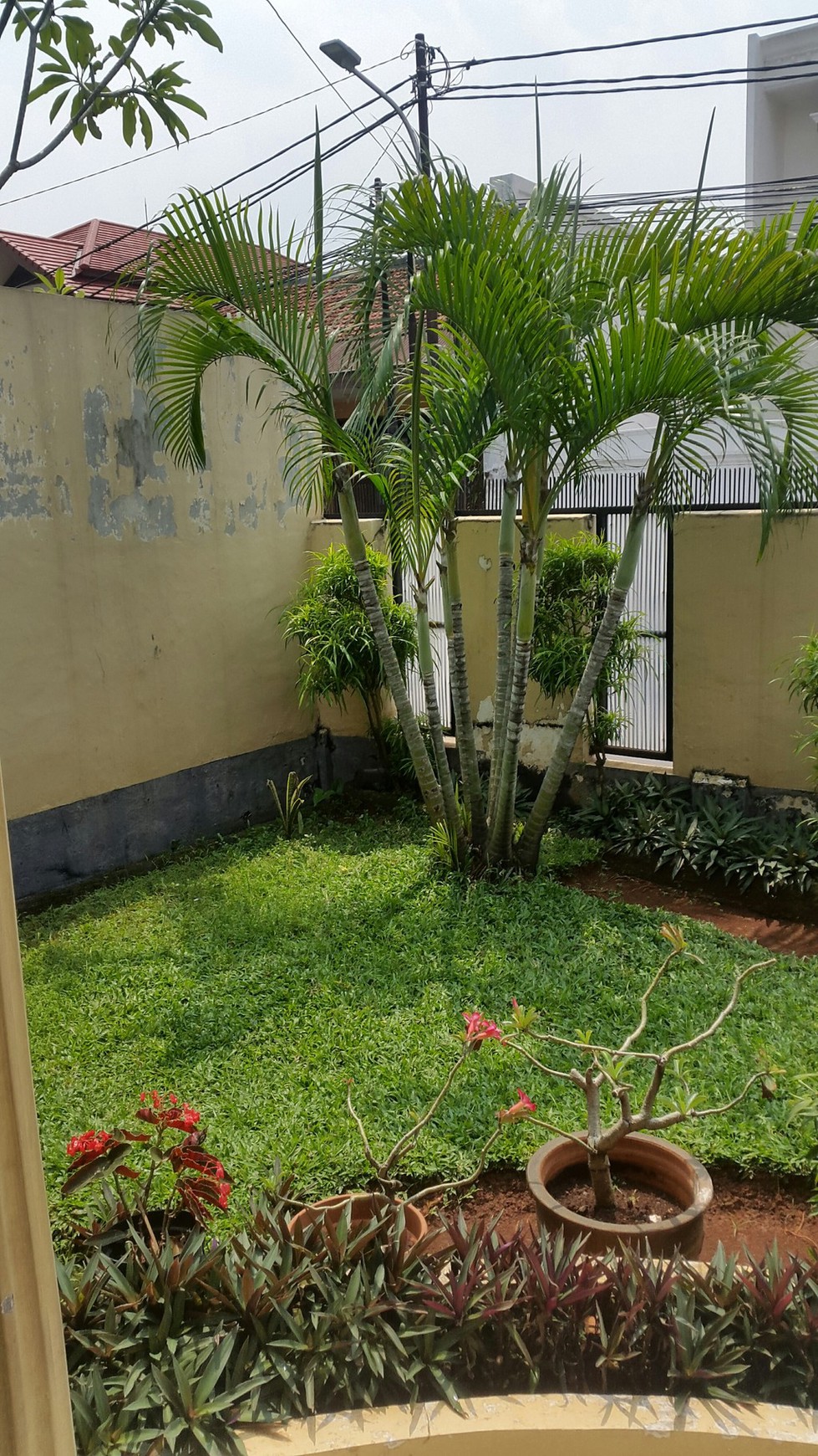 Rumah Jl Keuangan I cilandak