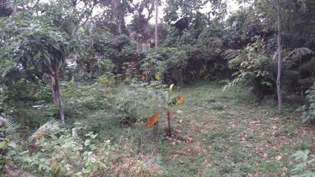 TANAH PEKARANGAN DIJUAL DI HARGOBINANGUN, PAKEM, SLEMAN