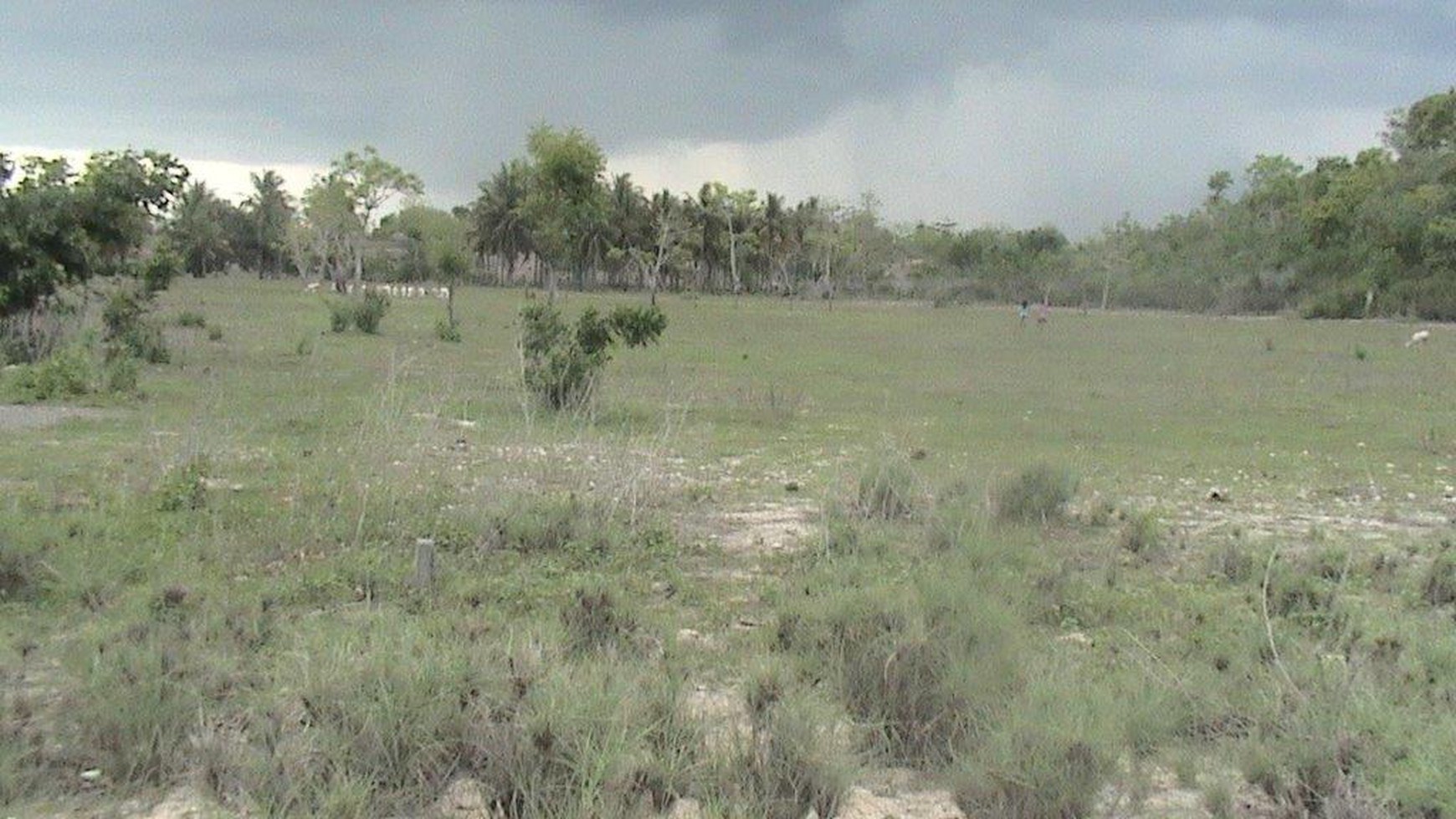 Amazing Beachfront Land Almost 11 Ha In Ekas Bay  Lombok Timur