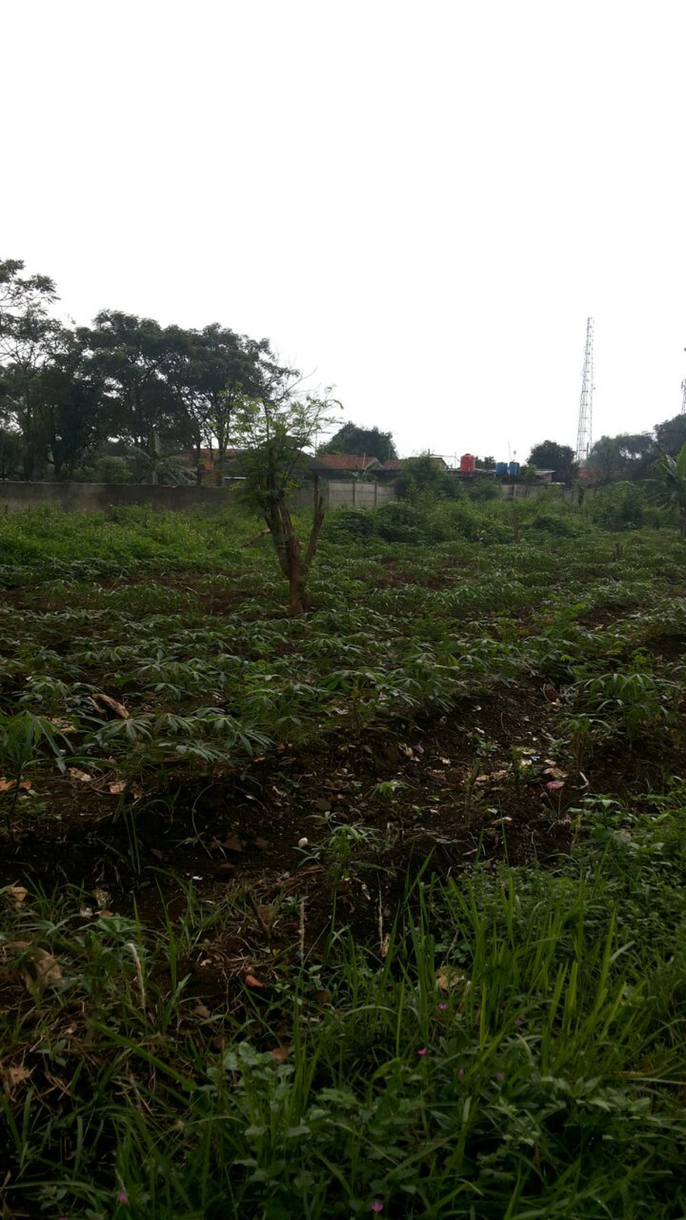Dijual Tanah di Pasar Kemis - Tangerang