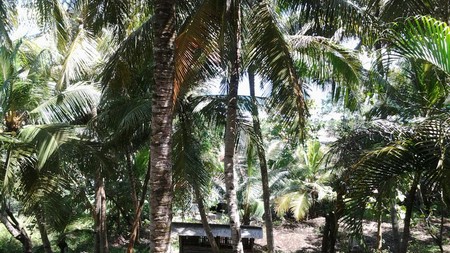 TANAH DIJUAL DEKAT PANTAI PARANGTRITIS, PARANGREJO, GIRIJATI
