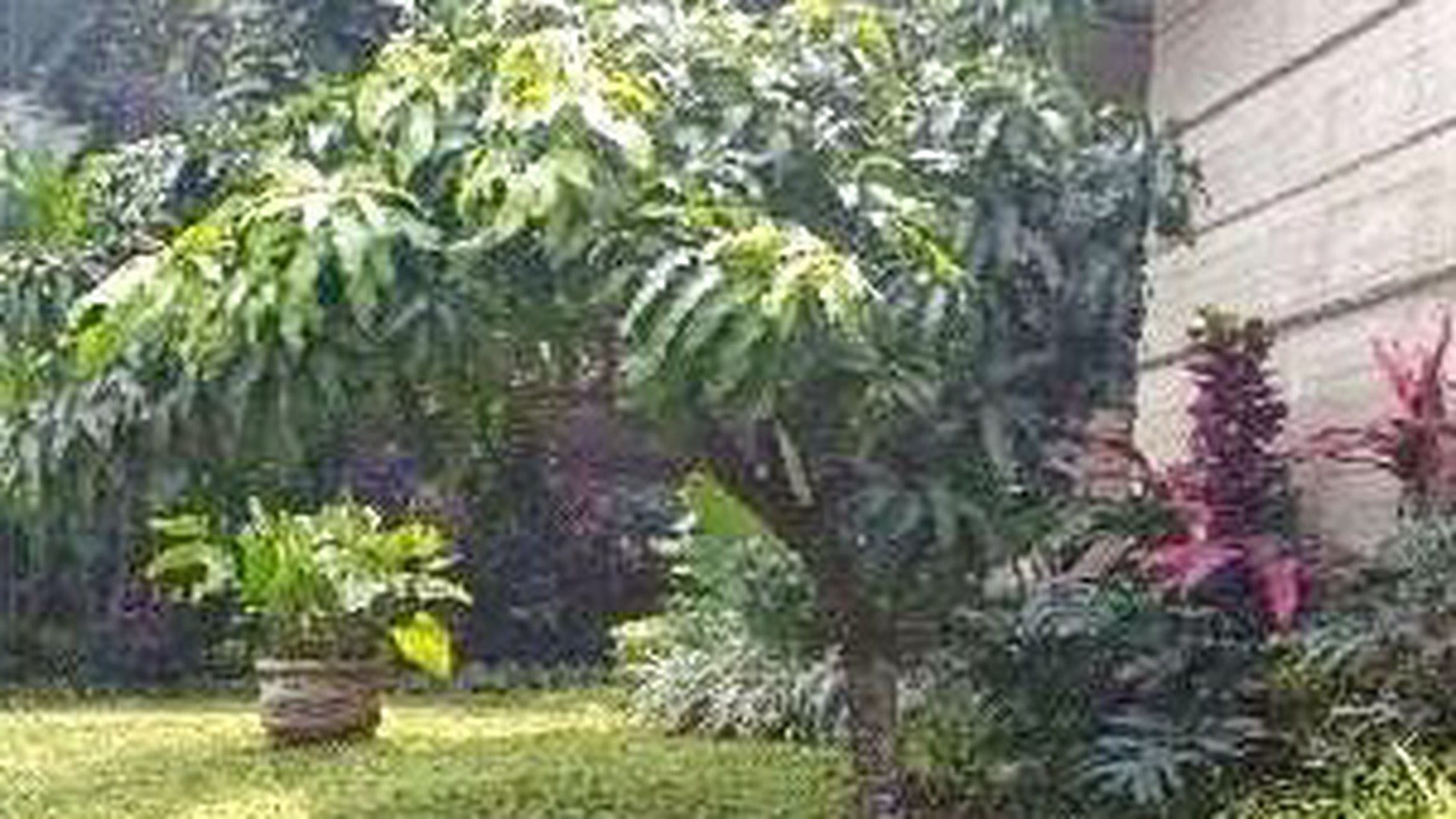 MENTENG BINTARO AMAZING HOUSE - LUAS 1600 #ALI-MENTENG.18.5.19 #AM