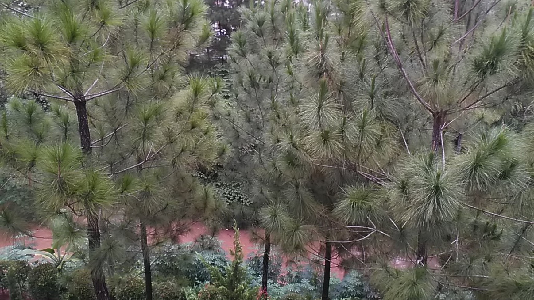 Rumah Cantik Siap Huni di The Green BSD