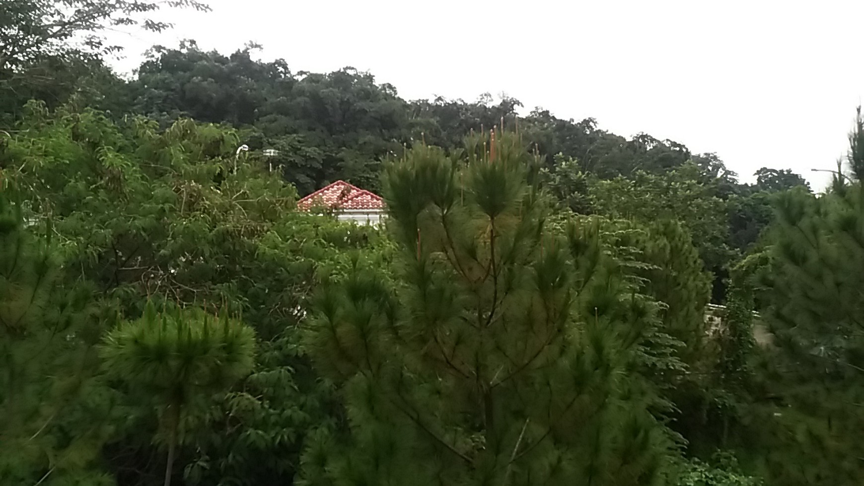 Rumah Cantik Siap Huni di The Green BSD