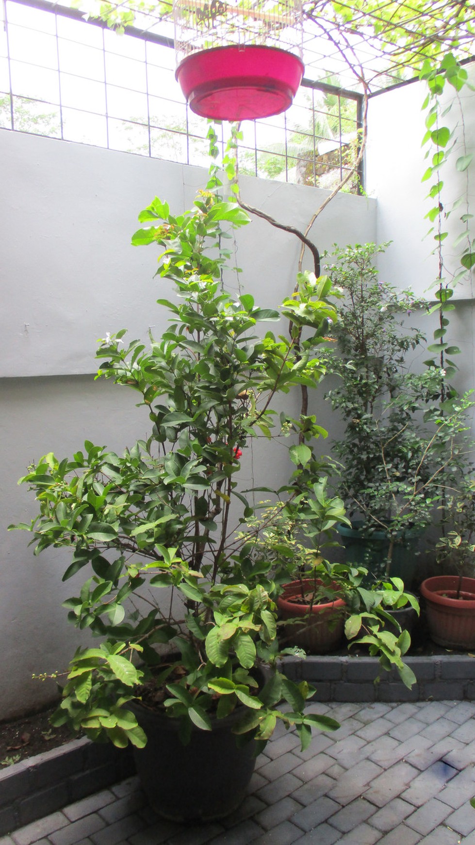 HUNIAN DI PERUM GRIYA PERWITA WISATA, JL. KASUARI, NGAGLIK, SLEMAN