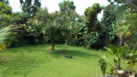 Beautiful house for rent in prime area of Kemang