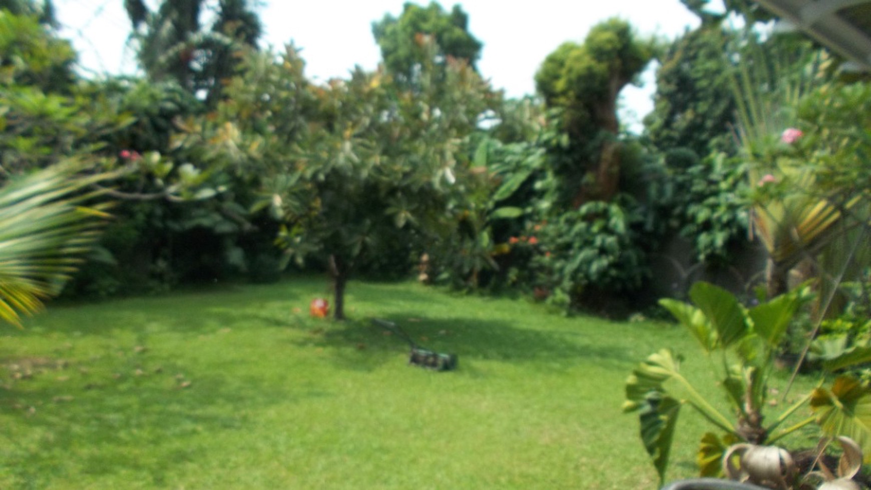 Beautiful house for rent in prime area of Kemang