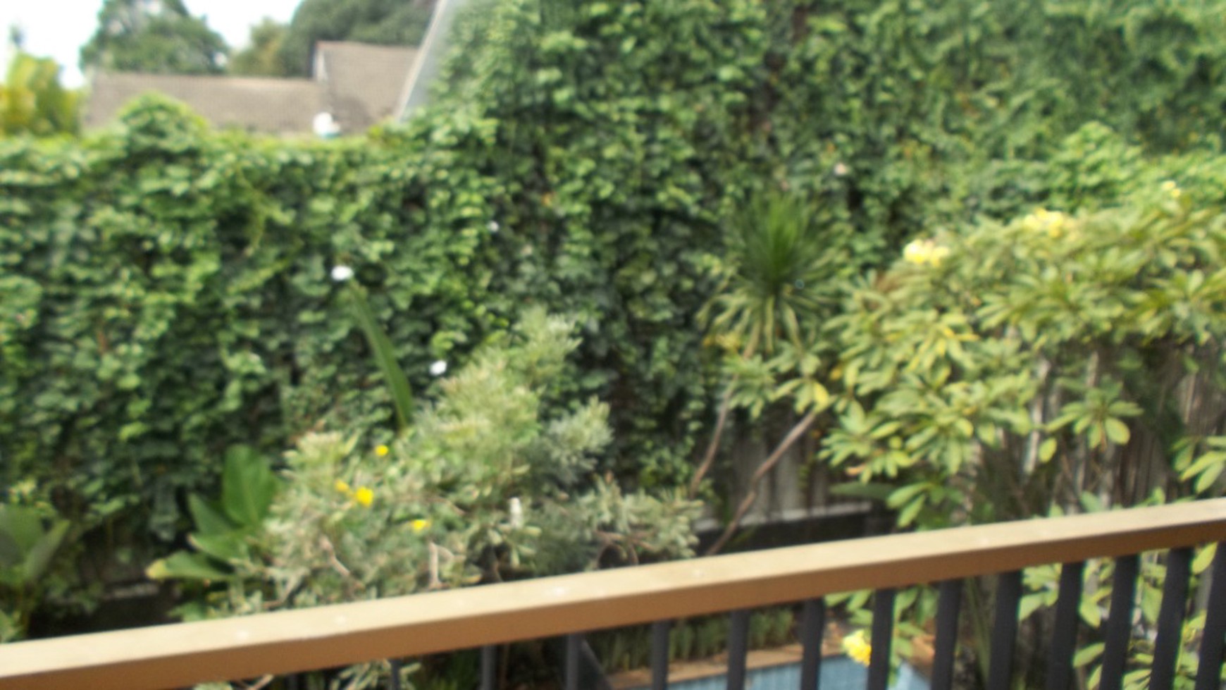 Beautiful Town House at the heart of Kemang, South Jakarta, is ready to rent