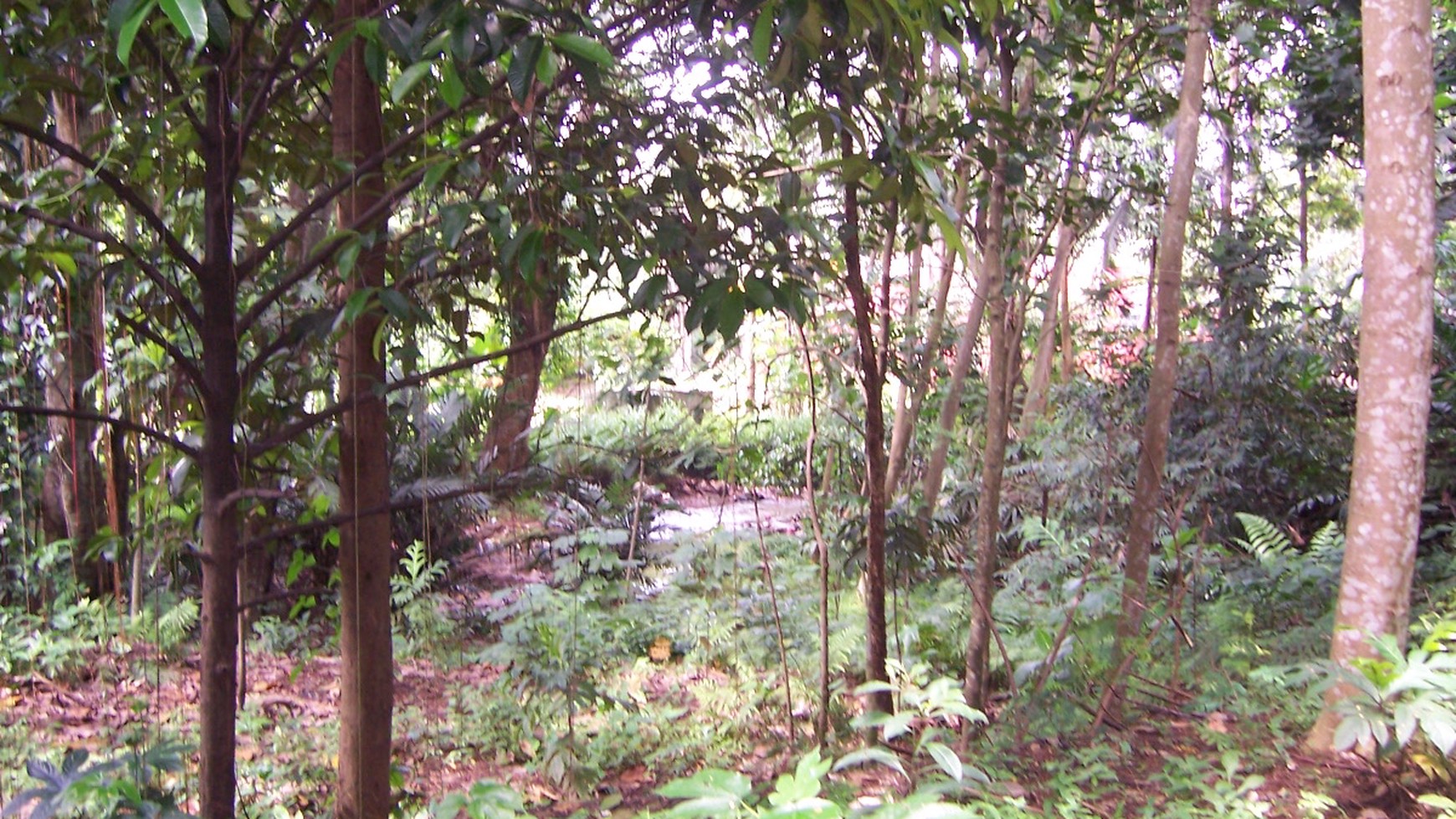 Tanah sangat cocok untuk dibangun perumahan di Beji-Depok