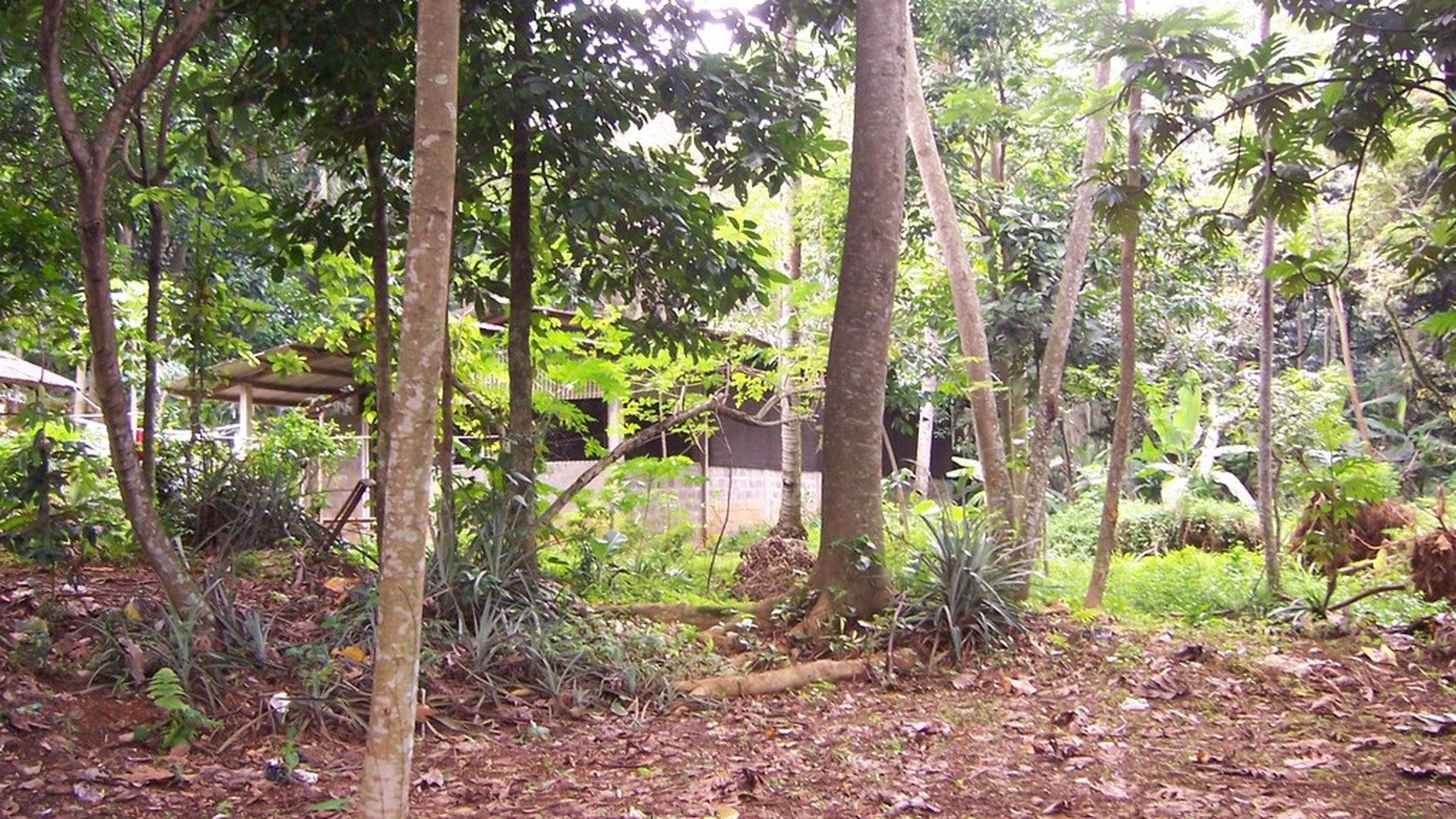 Tanah sangat cocok untuk dibangun perumahan di Beji-Depok