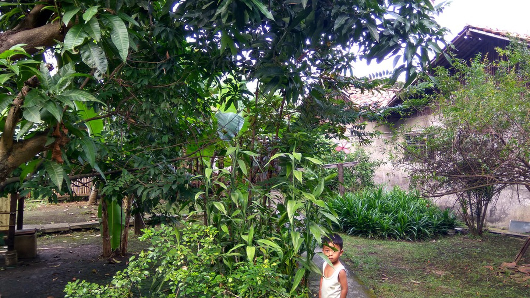 Dijual Rumah & Tanah di Jl. Imam Bonjol - Karawaci