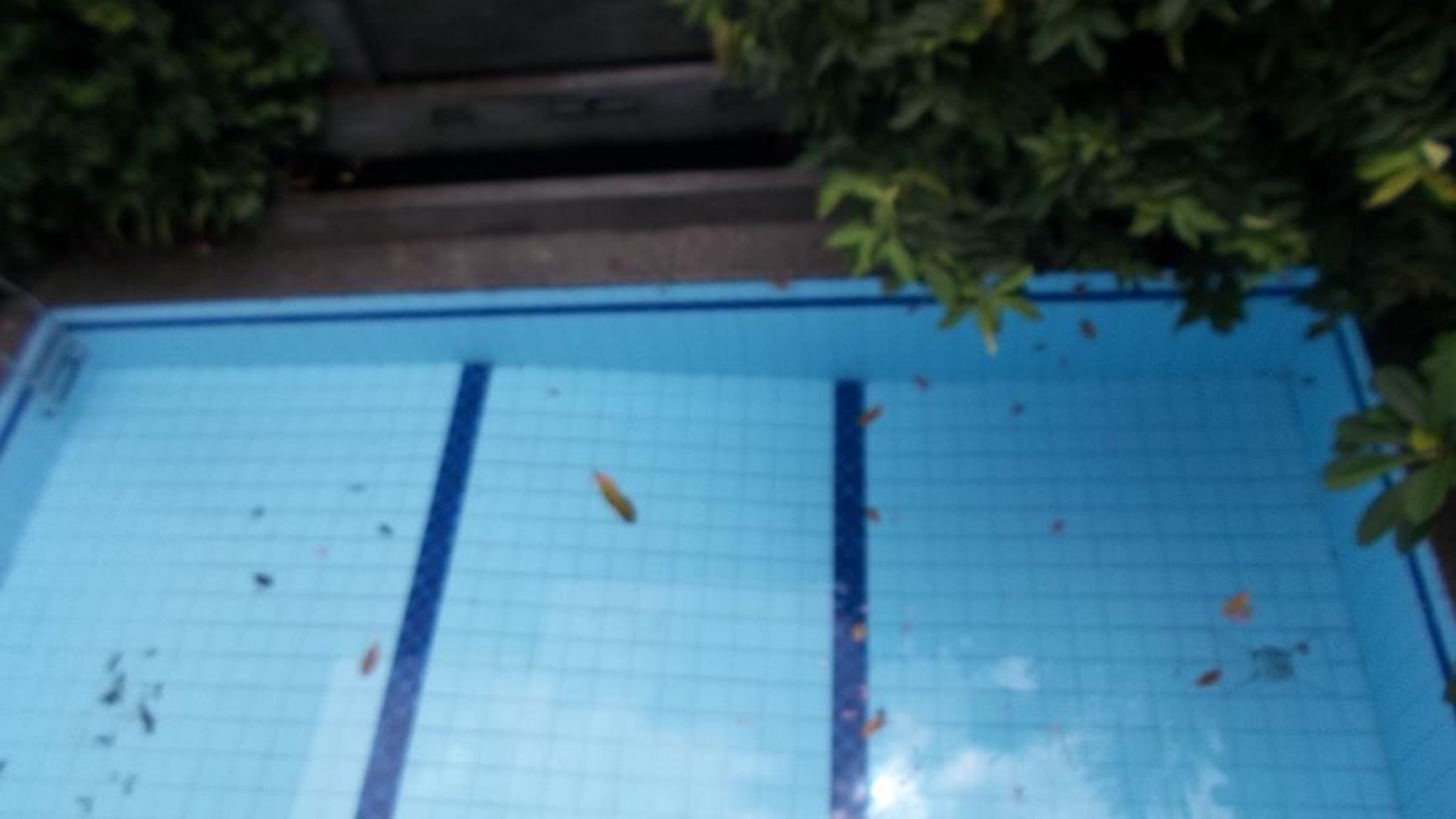 Amazing House in the Prime area of Pondok Indah