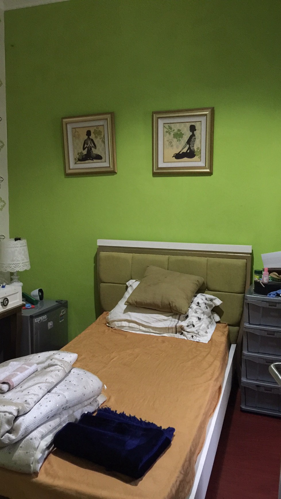 TURUN HARGA !!! Rumah Depan Taman, Furnished dan Siap Huni @ Discovery Cielo, Bintaro