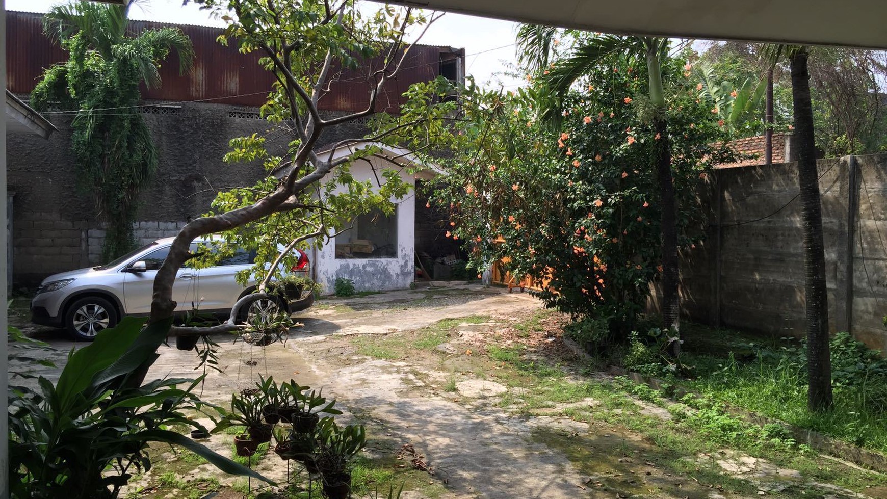 Rumah Lama hitung tanah cocok untuk dibangun perumahan. #AK