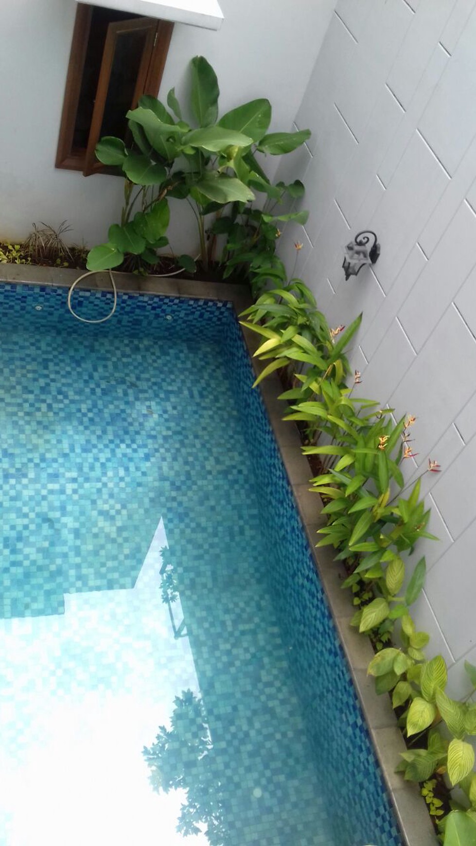 Rumah Cantik Brand New Di Kawasan Selatan Lebak Bulus