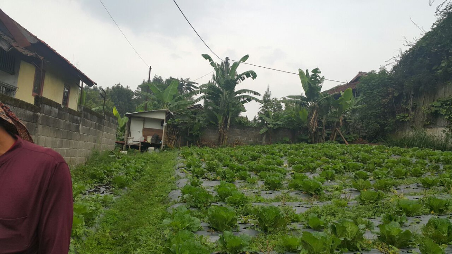 Tanah Kolonel Matsuri, Lembang Untuk Investasi