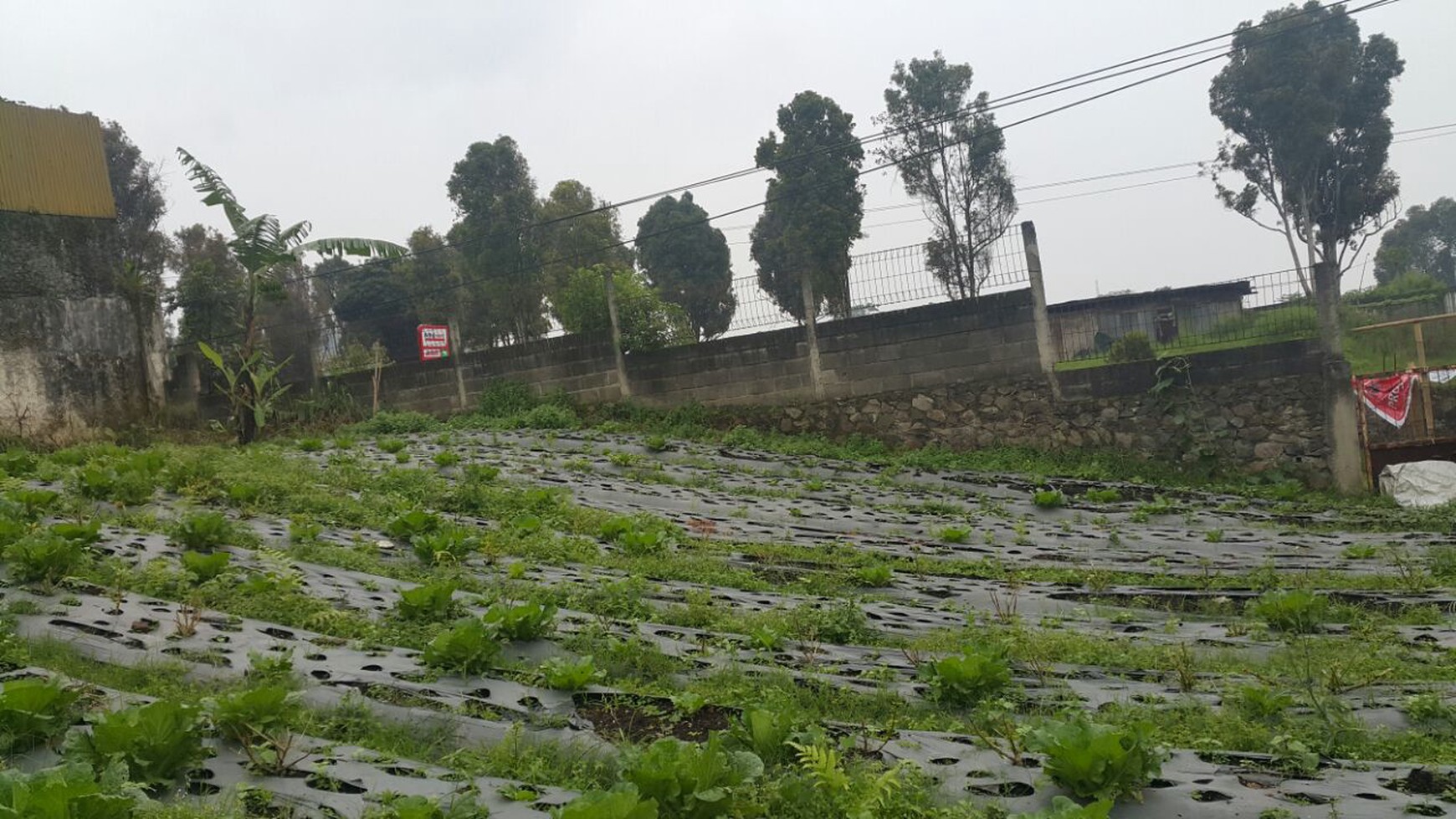 Tanah Kolonel Matsuri, Lembang Untuk Investasi