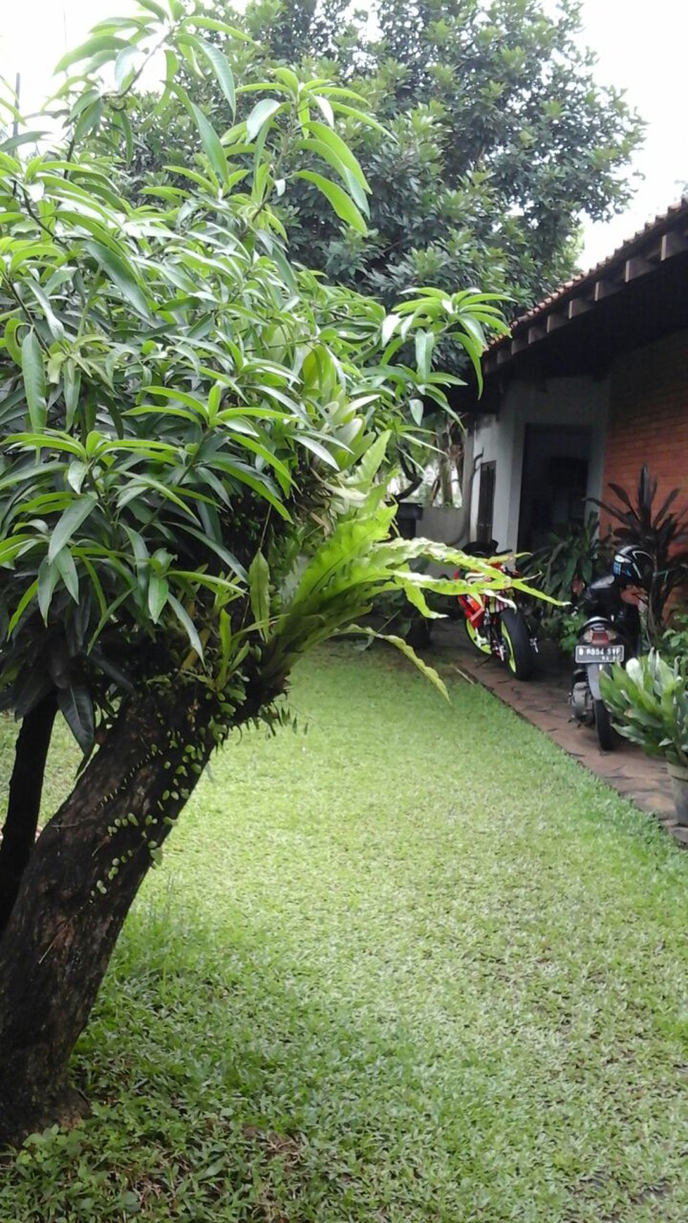 Dijual Rumah di Komplek Askrindo Deplu Raya Pondok Pinang