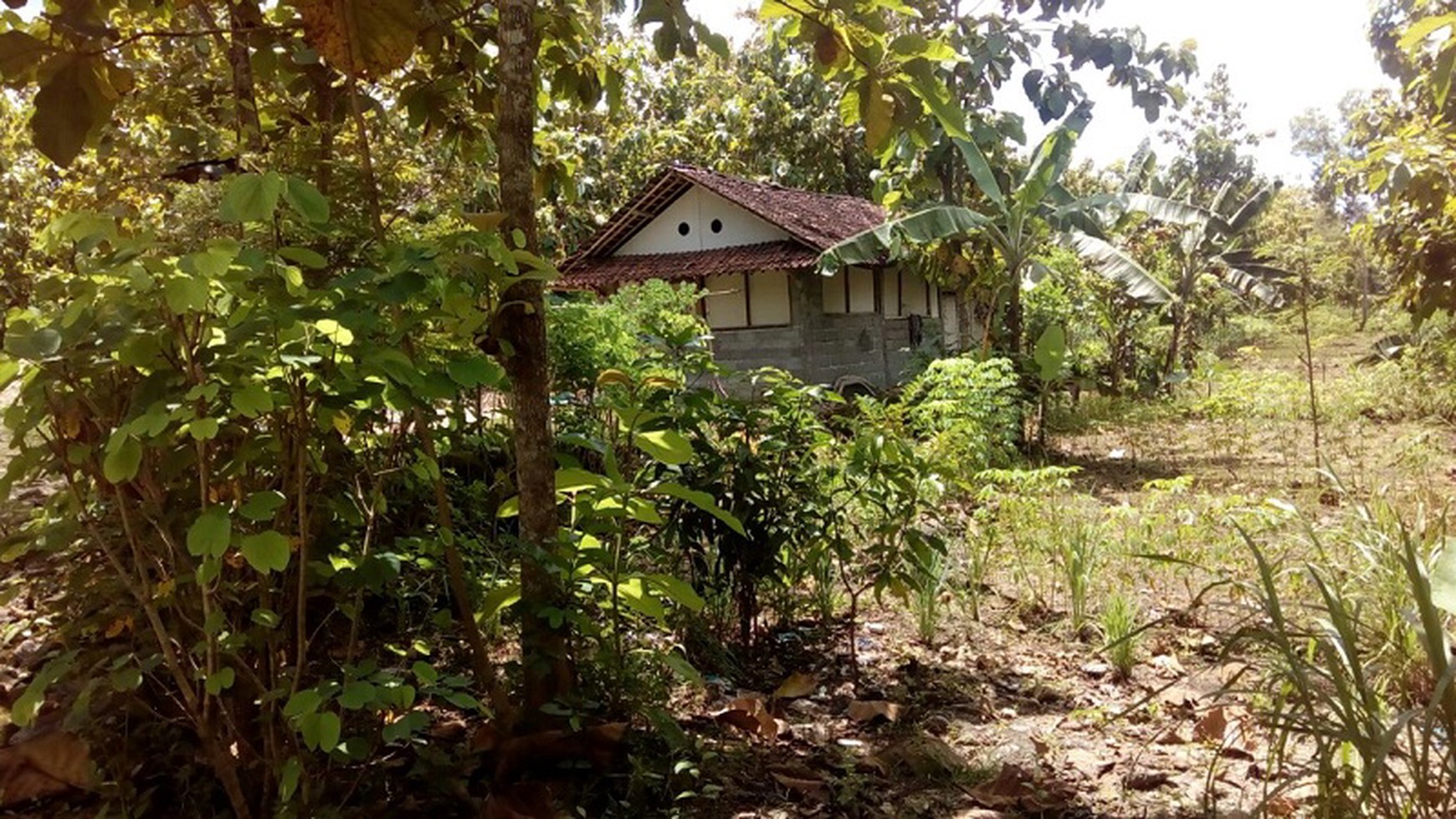 TANAH DIJUAL, DISIRAMAN WONOSARI, GUNUNG KIDUL