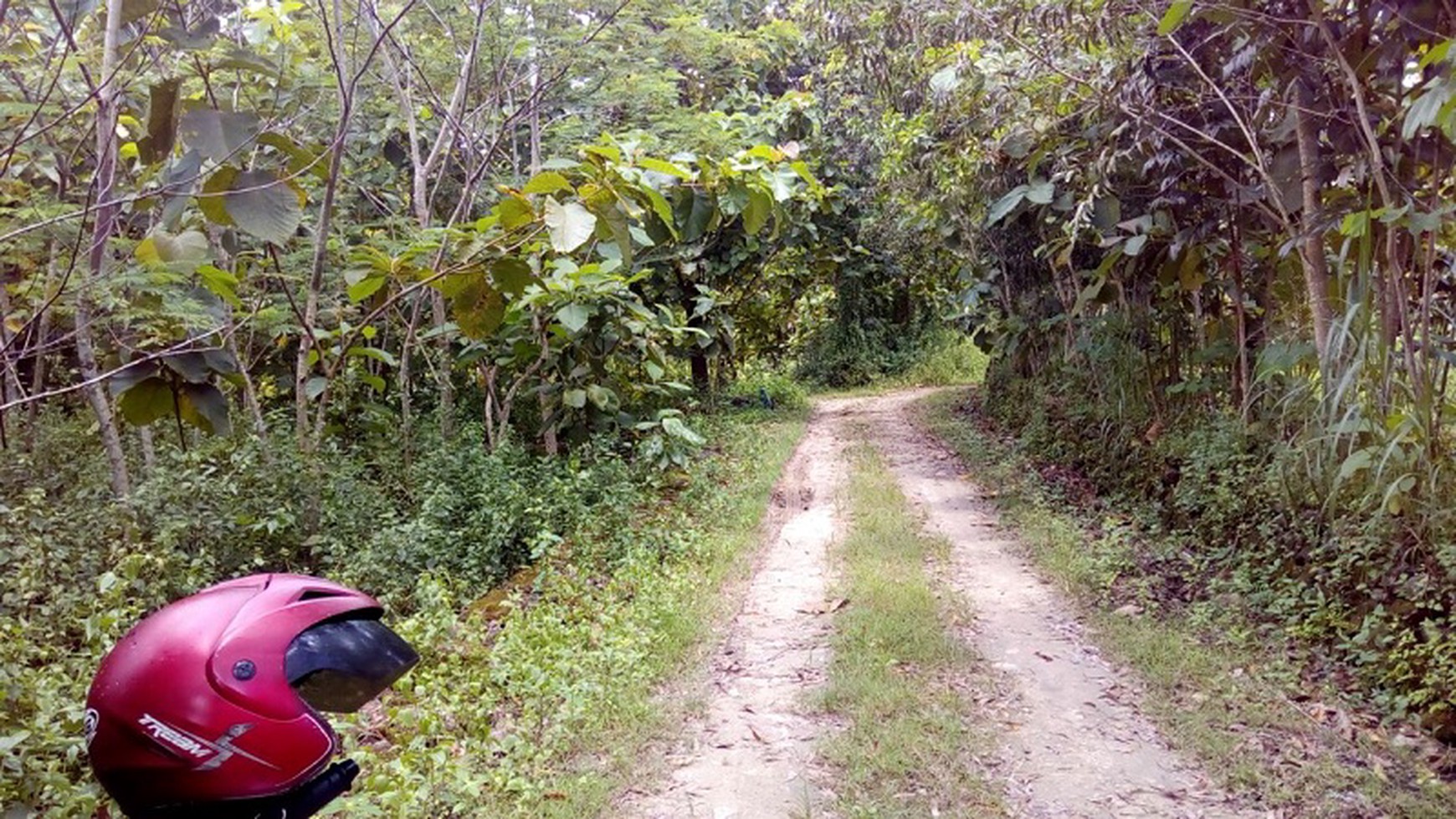TANAH DIJUAL, DISIRAMAN WONOSARI, GUNUNG KIDUL