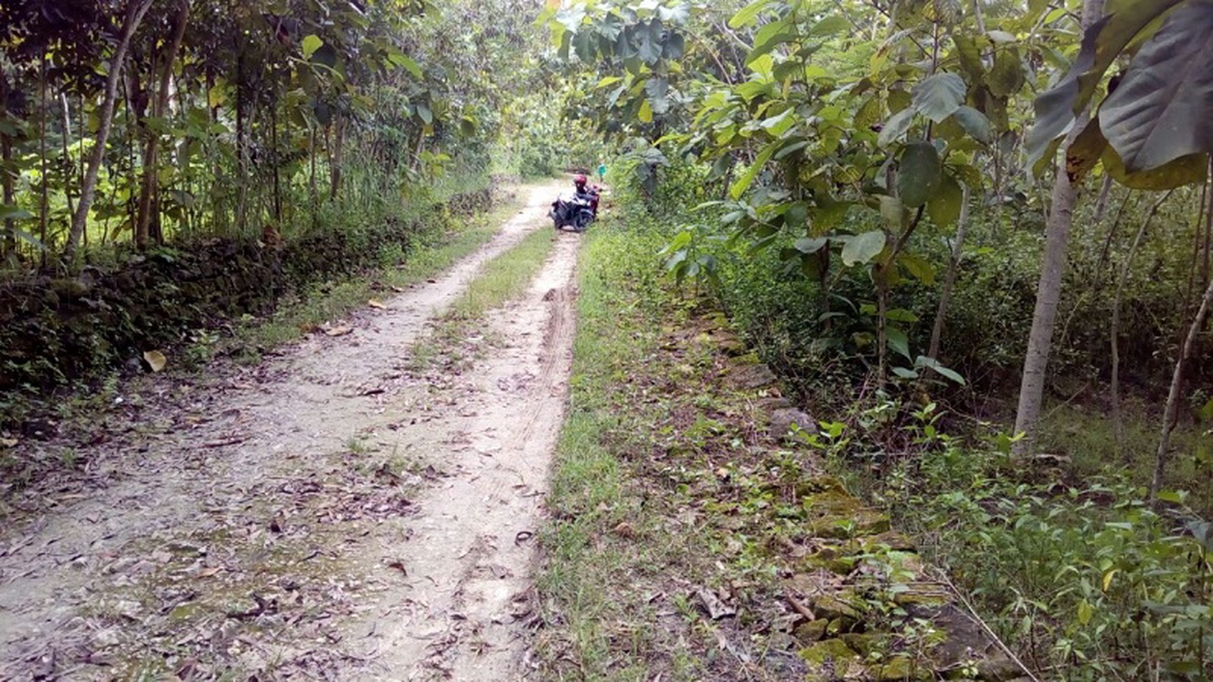 TANAH DIJUAL, DISIRAMAN WONOSARI, GUNUNG KIDUL