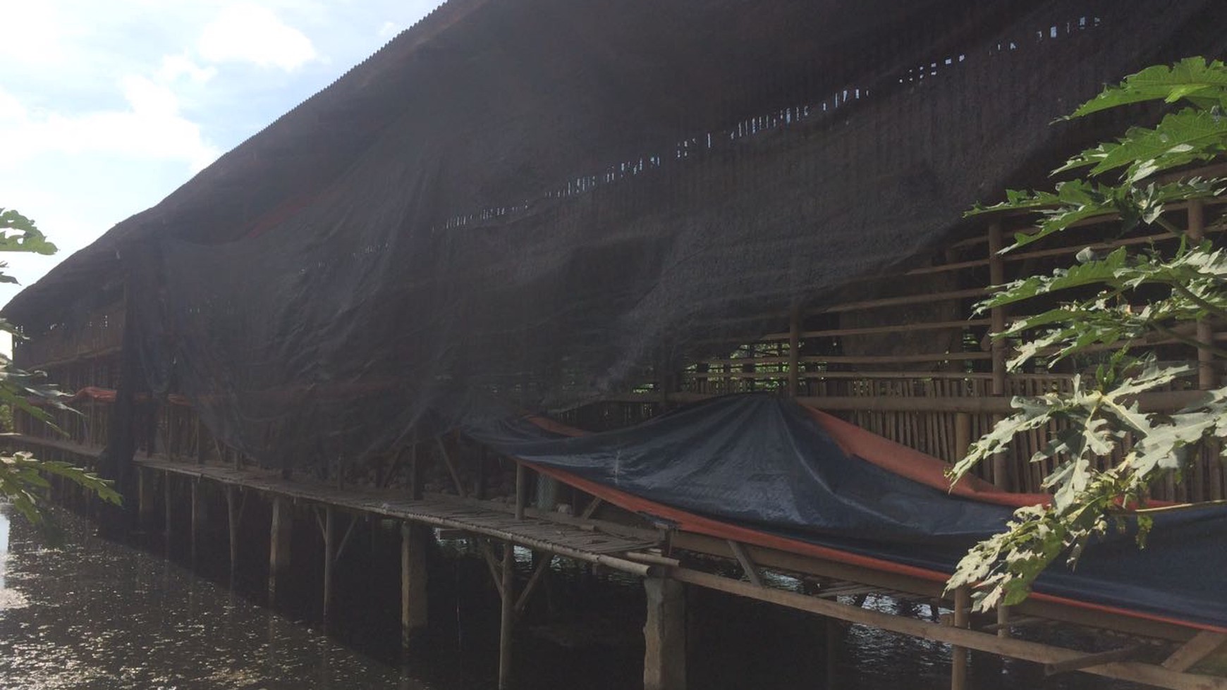 Dijual Tanah di Parung (Ada Peternakan Ayam & Lele nya) - Parung, Bogor
