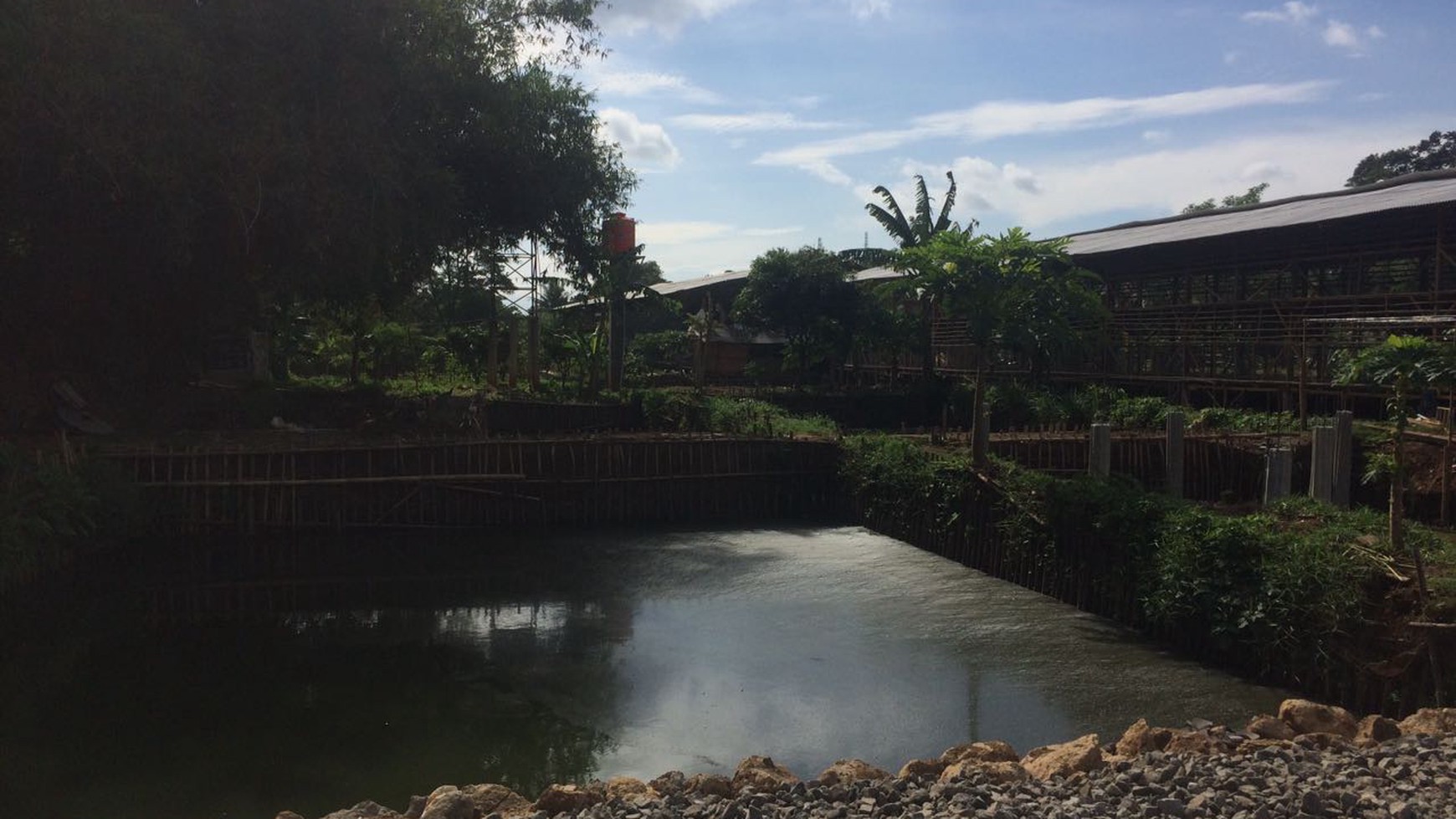 Dijual Tanah di Parung (Ada Peternakan Ayam & Lele nya) - Parung, Bogor
