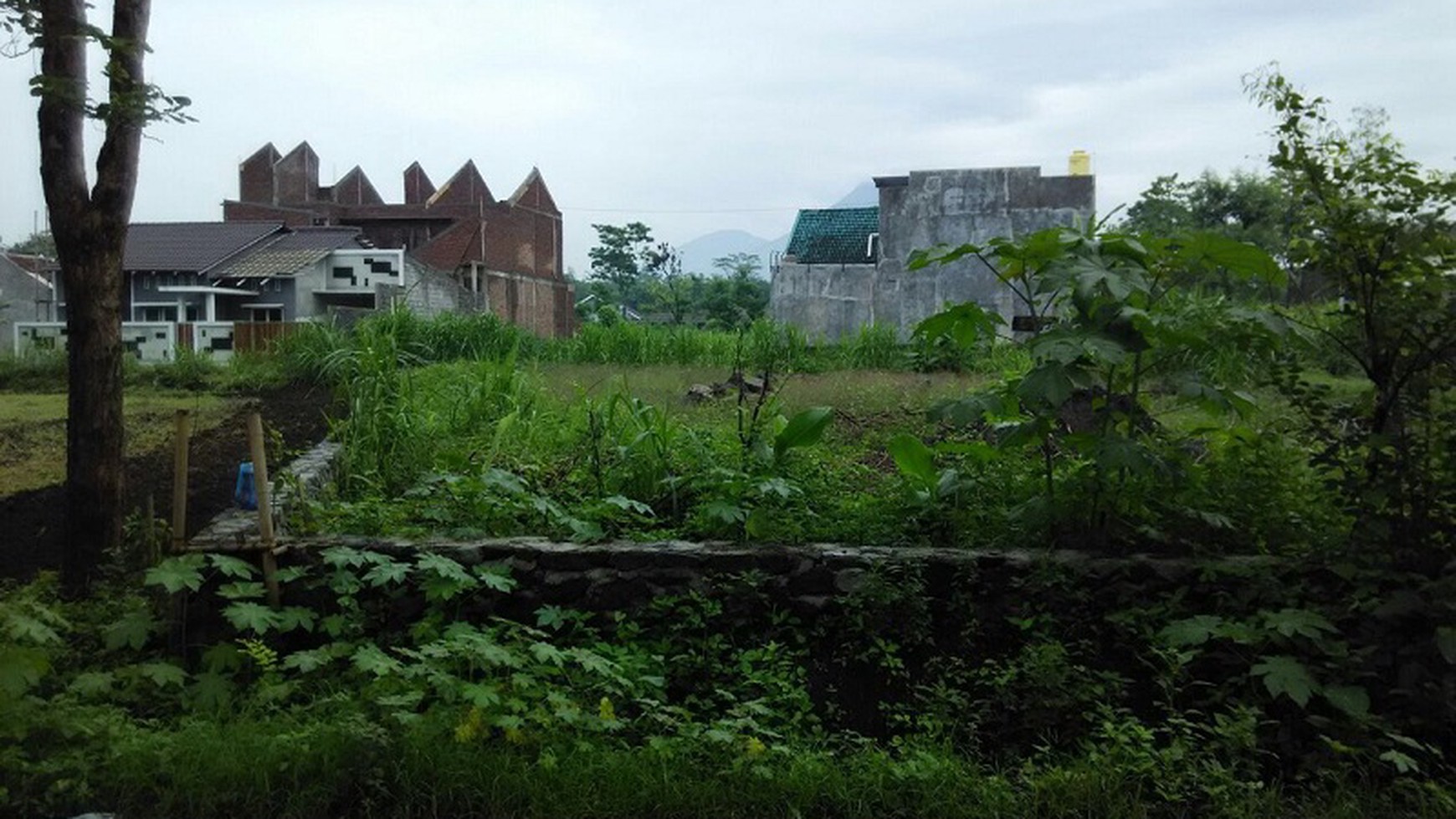 TANAH STRATEGIS DISEWAKAN JAKAL JALAN KALIURANG, NGAGLIK, SLEMAN