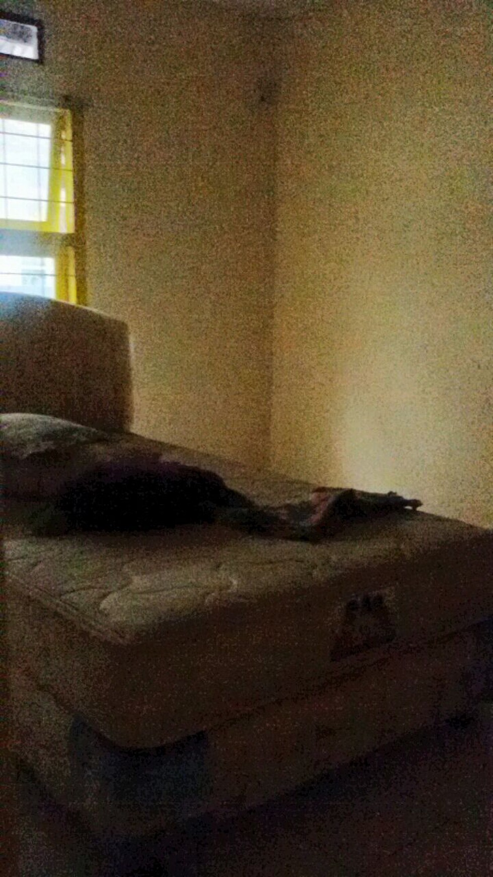 Rumah siap huni ,nyaman & aman di Bintaro 5