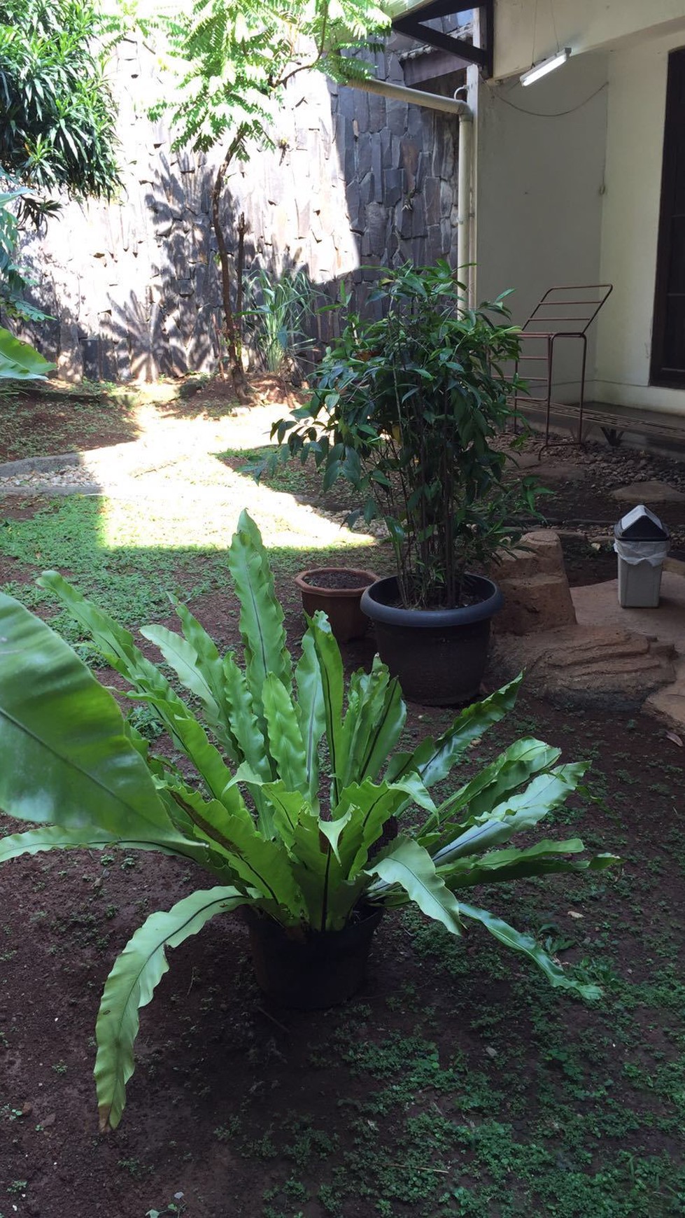 Dijual Rumah di Lokasi Ter-Nyaman di Cinere