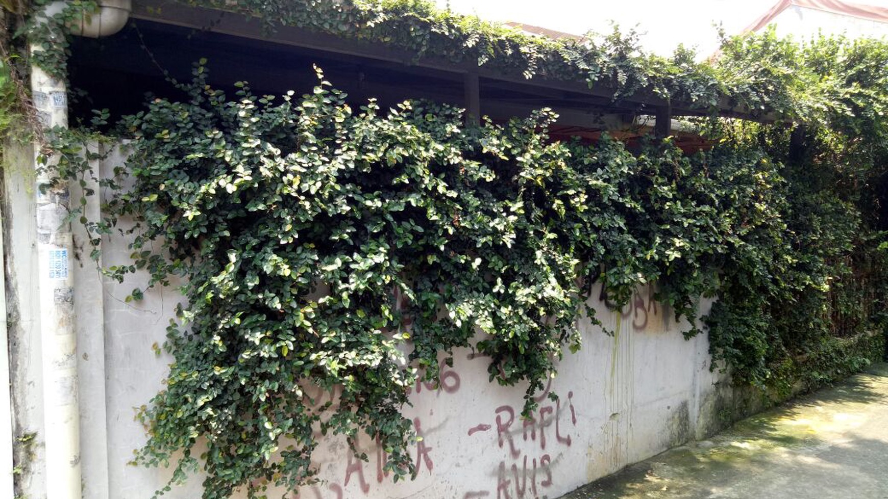 RUMAH STANDAR NAN ASRI DI AREA TEBET