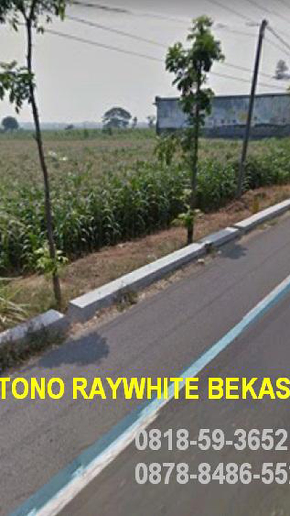 Dijual cepat tanah industri di lokasi strategis Raya Mojoagung-Jombang
